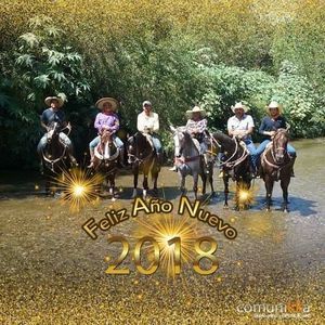 Meet your Posher, Javier